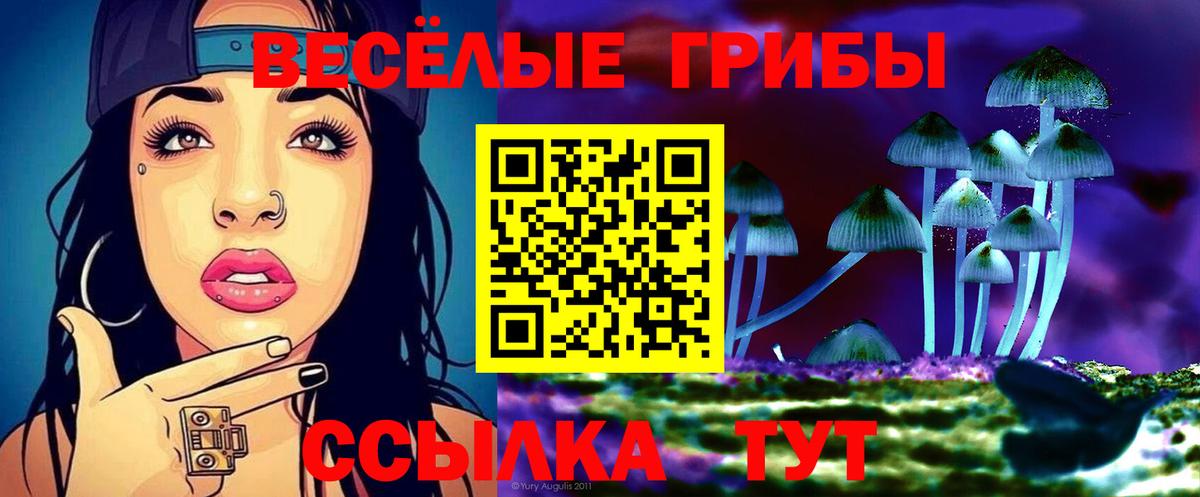 Галлюциногенные грибы мицелий  Вход с VPN  Егорьевск  Галлюциногенные грибы ЛСД 